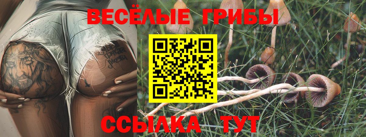 Псилоцибиновые грибы мухоморы  Псилоцибиновые грибы GOLDEN TEACHER  Будённовск  Вход с VPN 